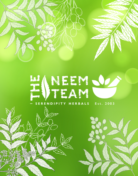 Introducing: The Neem Team.