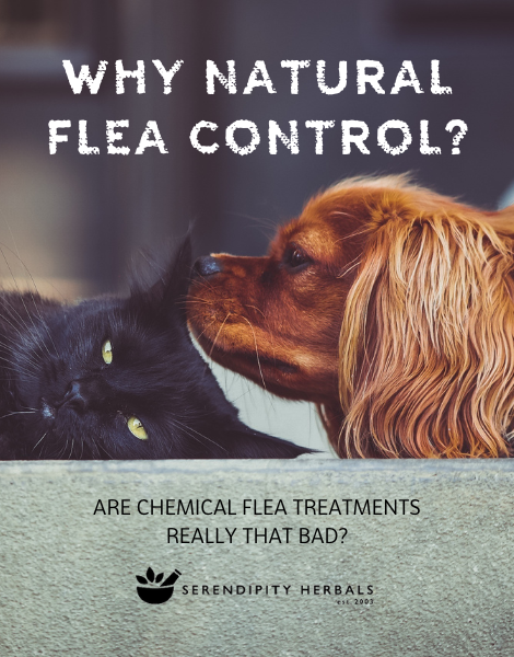 Why Natural Flea Control?
