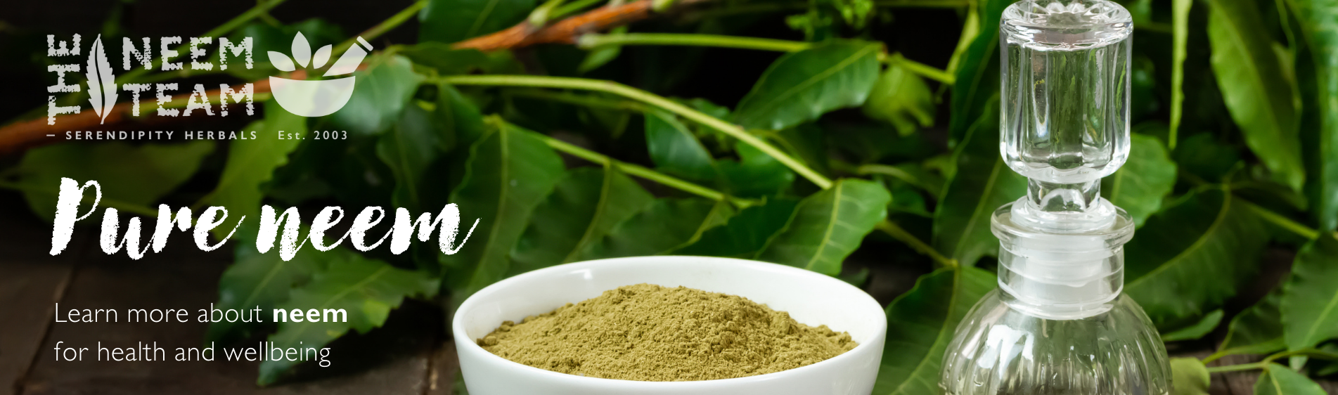 Neem leaves and bowl of neem leaf powder