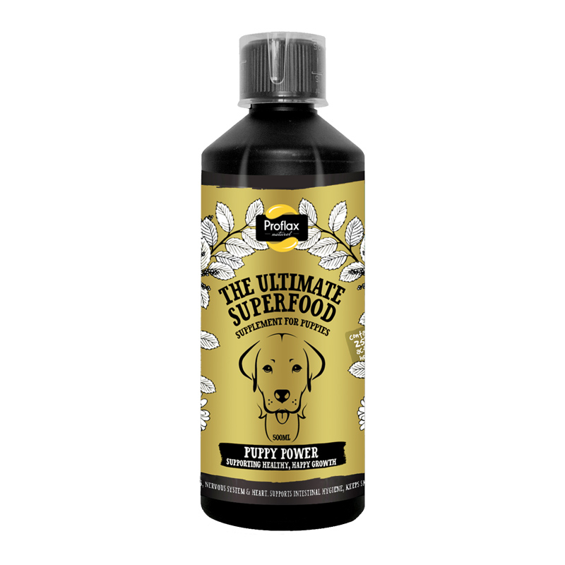 Proflax Puppy Power Herbal Supplement