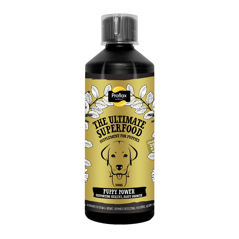 Puppy supplements discount
