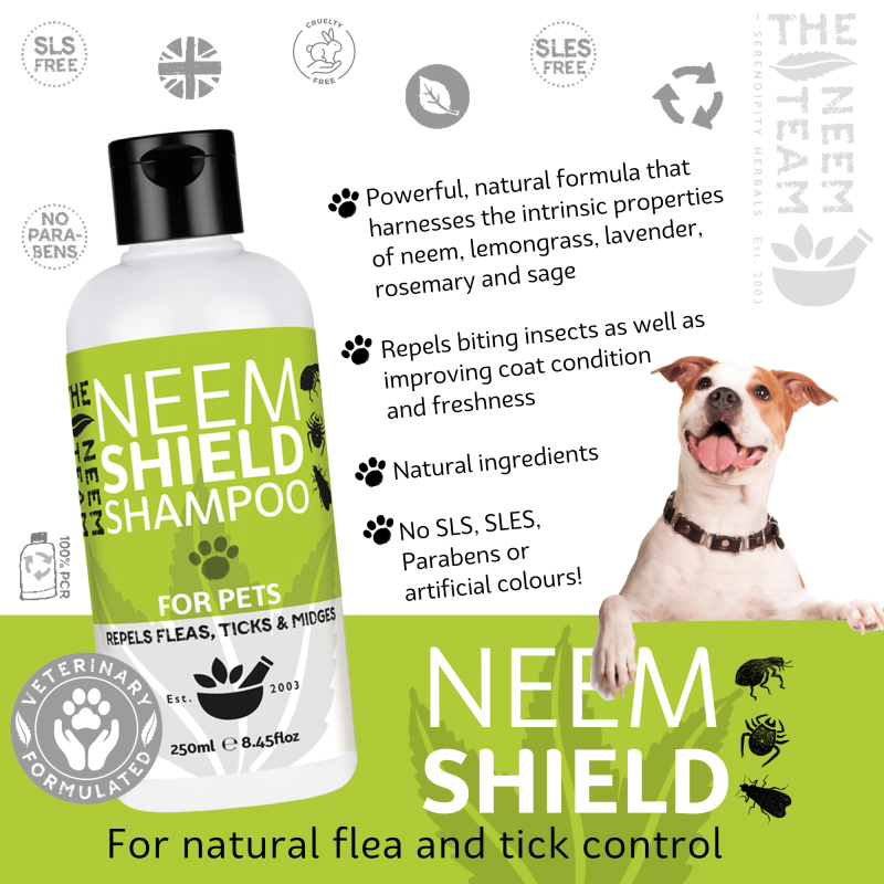 The Neem Team | Neem Shield Pet Spray | THE NEEM TEAM!